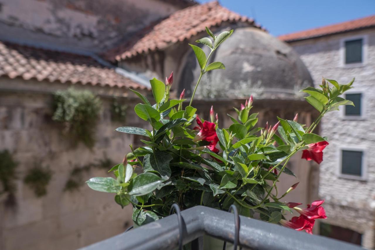 Olive Grove Of Sibenik - Apartment With Gallery Ngoại thất bức ảnh